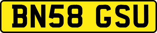 BN58GSU