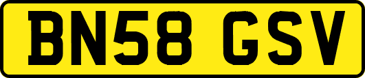 BN58GSV