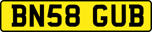 BN58GUB