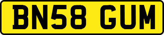 BN58GUM