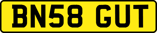BN58GUT
