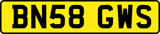 BN58GWS