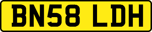 BN58LDH
