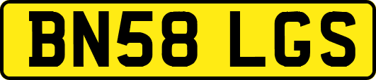 BN58LGS