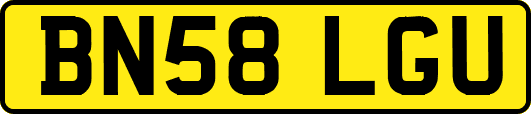 BN58LGU