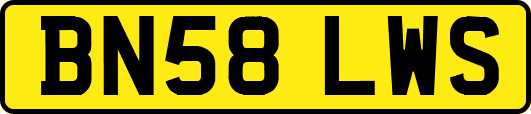 BN58LWS