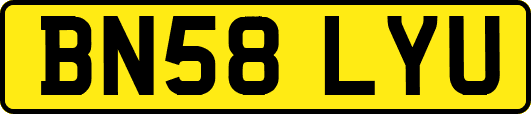 BN58LYU