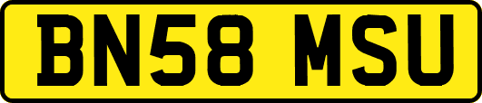 BN58MSU