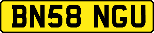 BN58NGU
