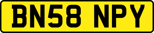 BN58NPY