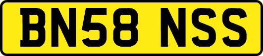 BN58NSS