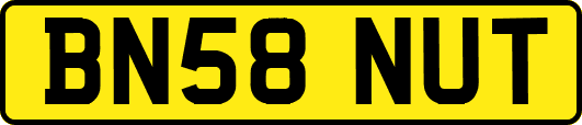 BN58NUT