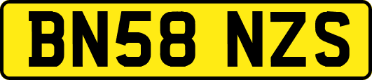BN58NZS