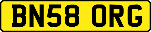 BN58ORG