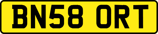 BN58ORT