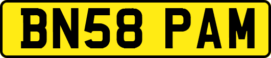 BN58PAM