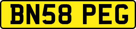 BN58PEG