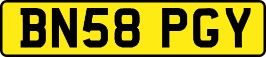 BN58PGY
