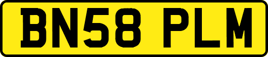 BN58PLM