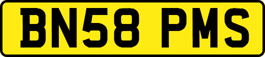BN58PMS