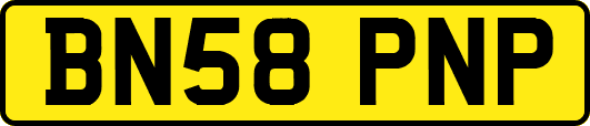 BN58PNP