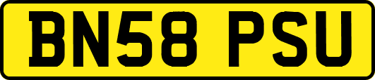 BN58PSU