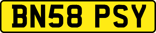 BN58PSY