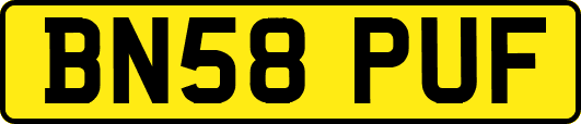 BN58PUF