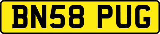 BN58PUG