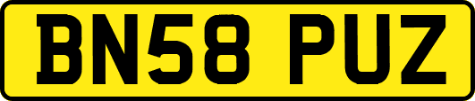 BN58PUZ