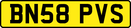 BN58PVS
