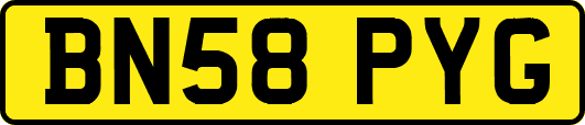 BN58PYG