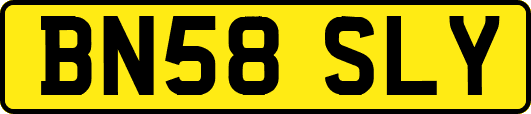 BN58SLY