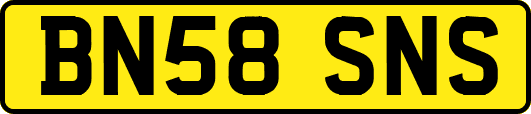 BN58SNS