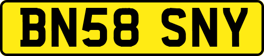 BN58SNY