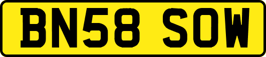 BN58SOW