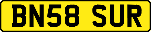 BN58SUR