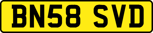 BN58SVD