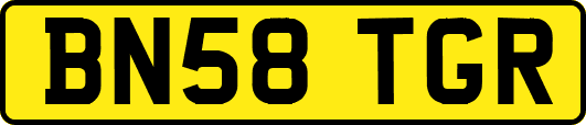 BN58TGR