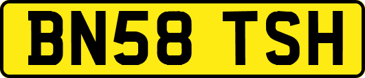BN58TSH