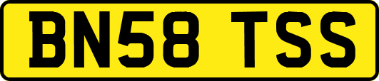 BN58TSS