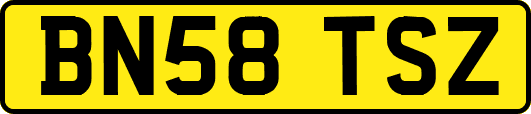 BN58TSZ