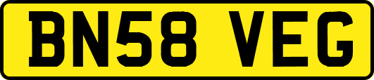 BN58VEG