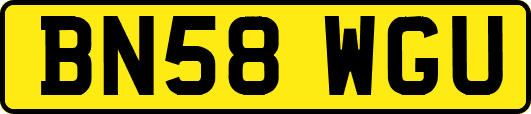BN58WGU