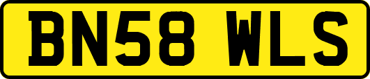 BN58WLS