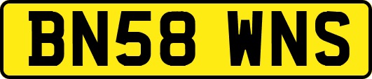 BN58WNS