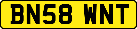 BN58WNT