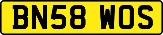 BN58WOS