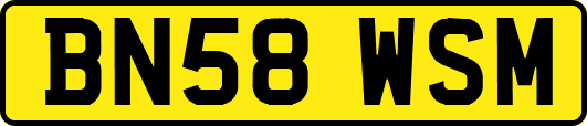 BN58WSM