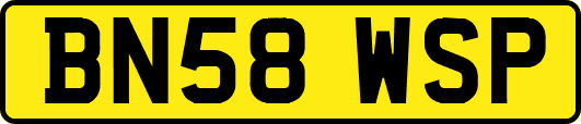 BN58WSP